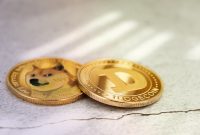 The Top 7 Safest Places To Keep Doge Are The Best Dogecoin Wallets The Top 7 Safest Places To Keep Doge Are The Best Dogecoin Wallets